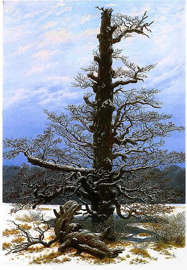 Caspar David Friedrich Oak Tree in the Snow